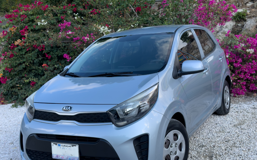 Curaçao vacation:10 tips for an unforgettable trip!